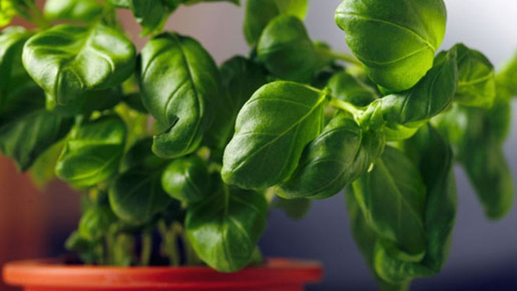 Lehtikuva/Marja Airio