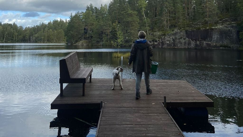 Lukijan kuva Simo-koiran katoaminen (3)