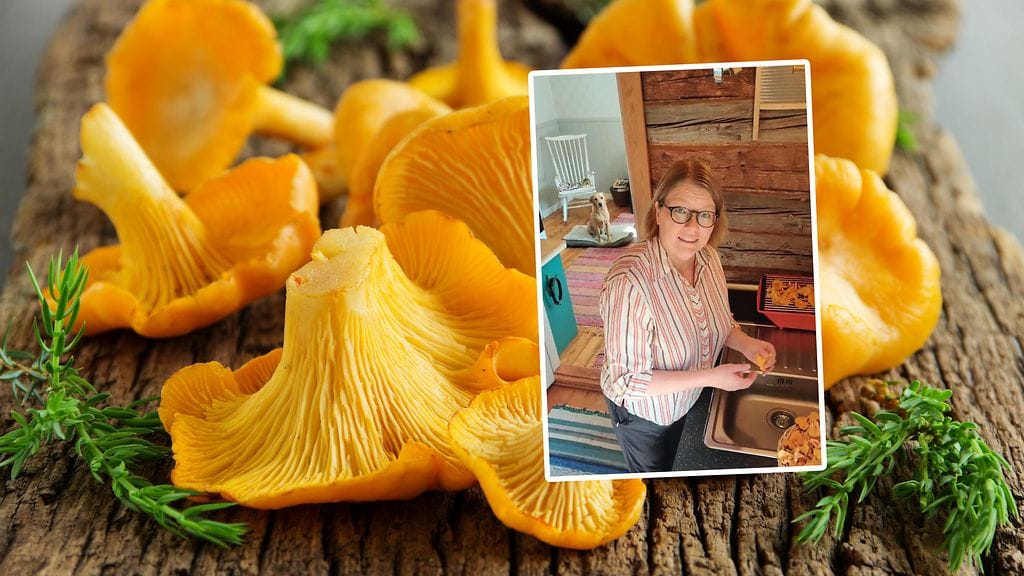 Kantarellit voi putsata myös pesemällä!