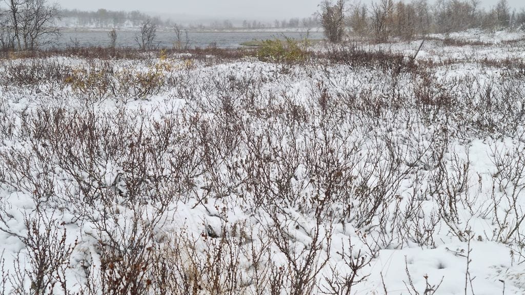 Näkkälä Enontekiö