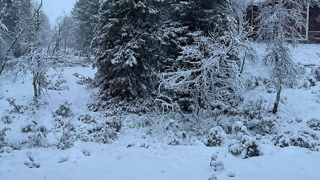 Lukijan kuva talvi Saariselkä 3 20092023