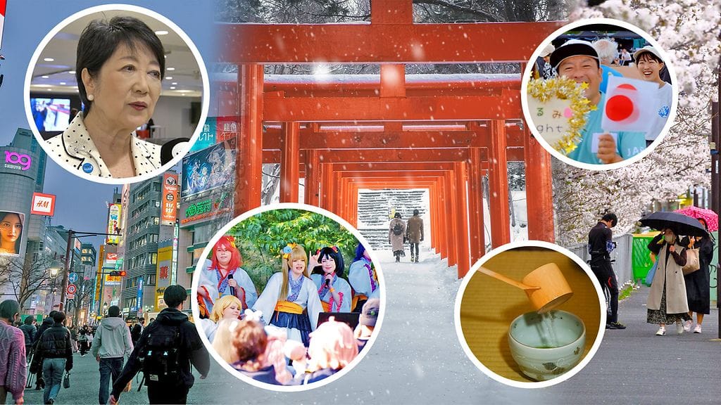 Japani-ilmiöt on MTV Uutisten juttusarja, joka käsittelee Japania ja japanilaista kulttuuria ja ilmiöitä sekä Suomessa että Japanissa.