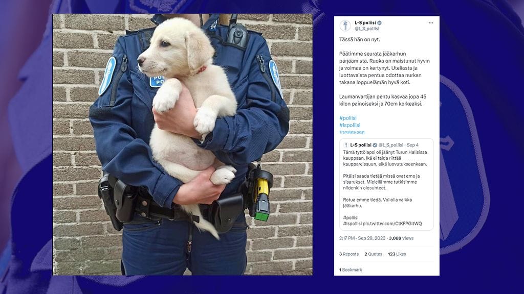 Turun "Jääkarhu" on kasvanut huimasti.