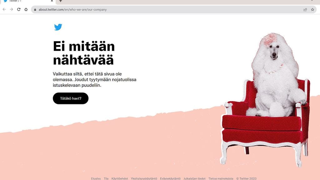 Kuvakaappaus X-palvelun yrityssivusta.