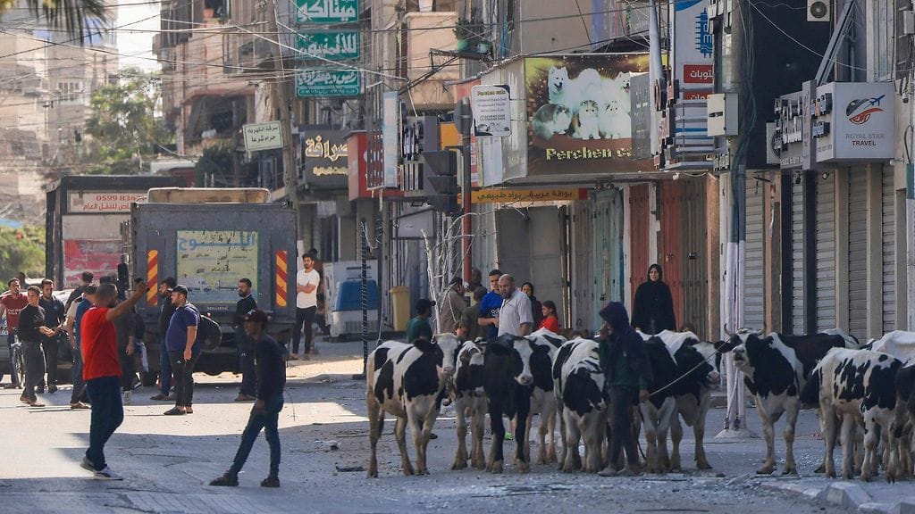 LK 13.10.2023 Palestiinalaiset tungeksivat kadulla Gazan kaupungissa paetessaan kodeistaan Israelin armeijan varoituksen jälkeen 13. lokakuuta 2023.