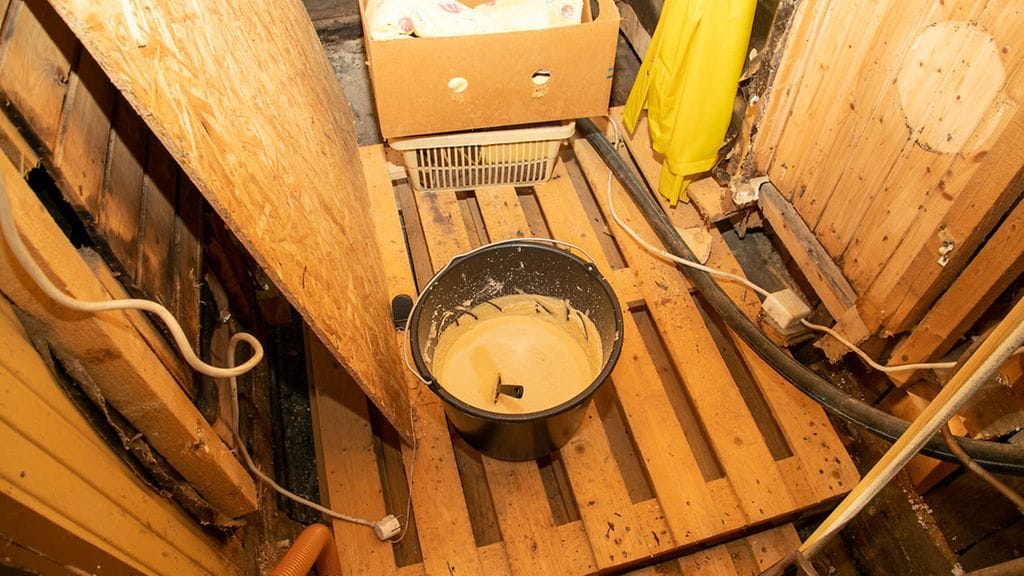 Saostettua amfetamiinia mustassa sangossa (1)