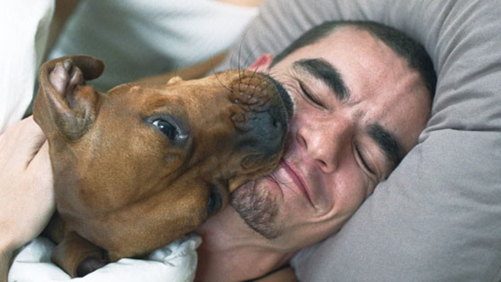 Söpöä ja ihanaahan tämä on, muttei välttämättä turvallista.