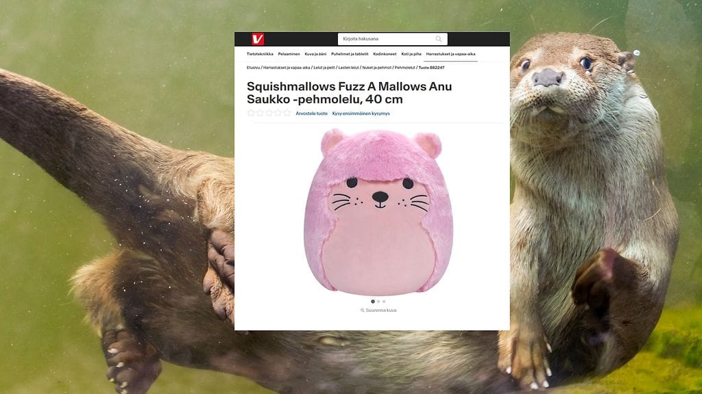 Verkkokauppa.com on saanut runsaasti palautetta Anu Saukosta.