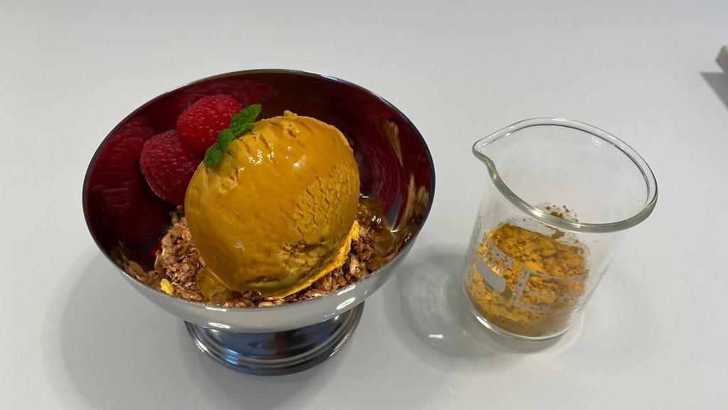 Solar Foods, Solein-jäätelö