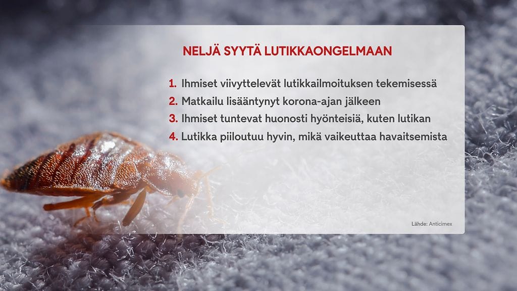 3110_1900_lutikat_still_02