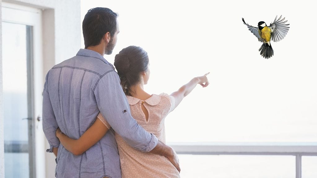 Miten reagoit, jos kumppanisi osoittaa sinulle lintua ulkona?