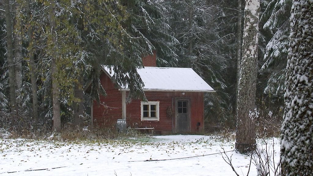 Pihasauna