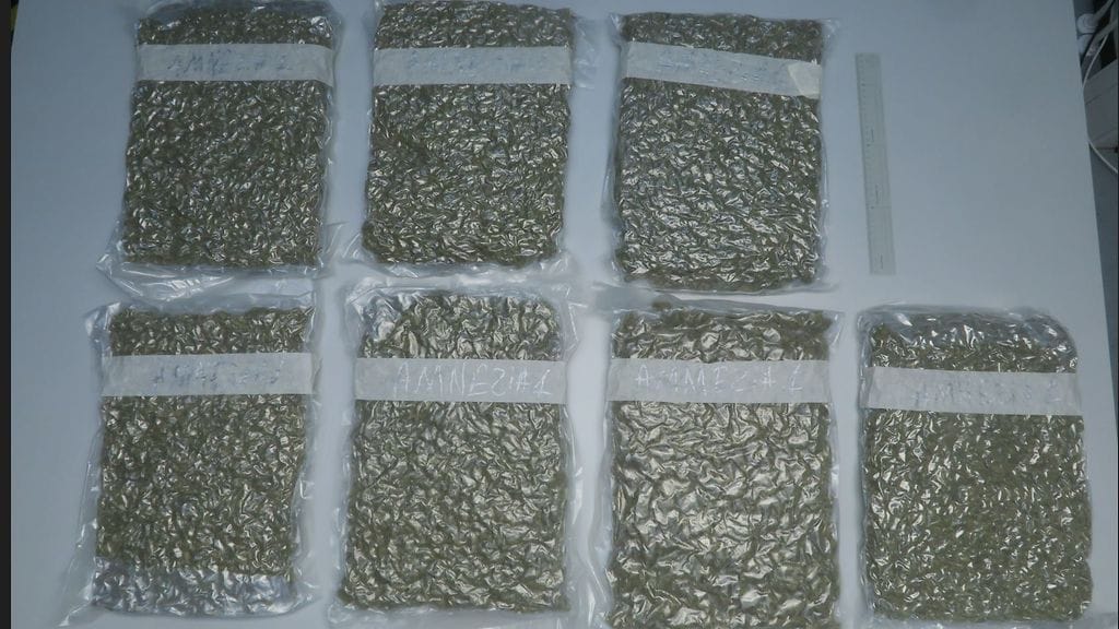 takavarikoitua marihuanaa, poliisin kuvaa