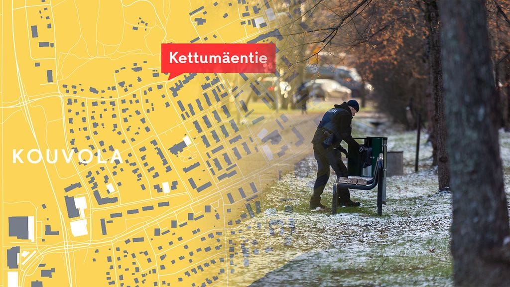 Syytteen mukaan syytetty oli voimakkaasti päihtynyt. Väkivallanteon jälkeen hän pakeni paikalta.