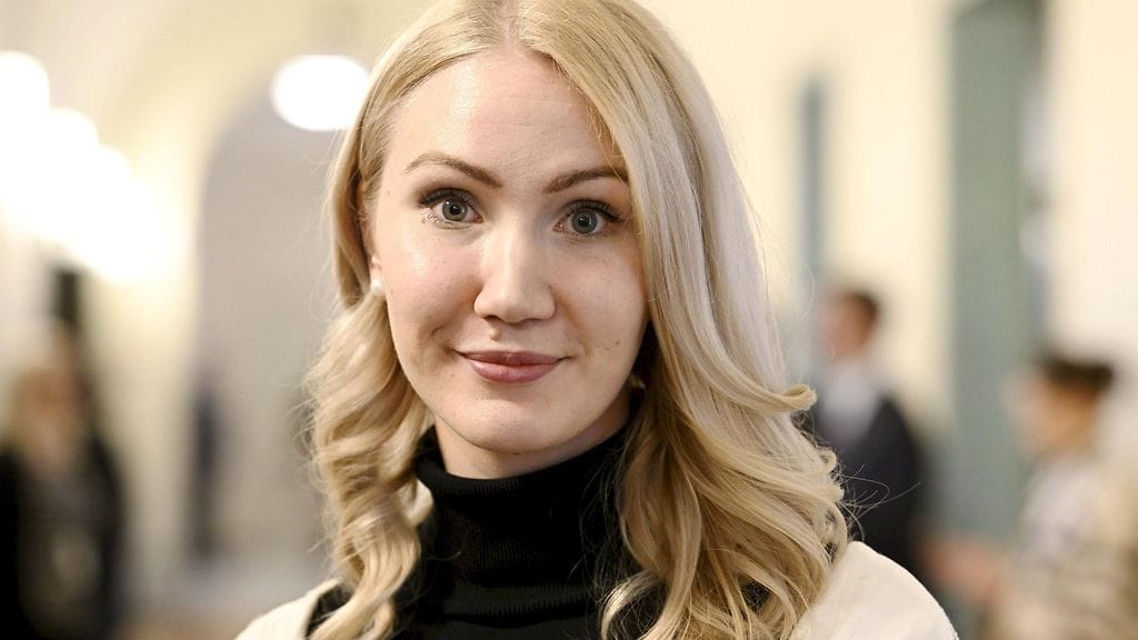 Pinja Perholehdon mukaan perussuomalaiset haluavat kääntää huomion heille edullisempiin asioihin negatiivisen julkisuuden keskellä.