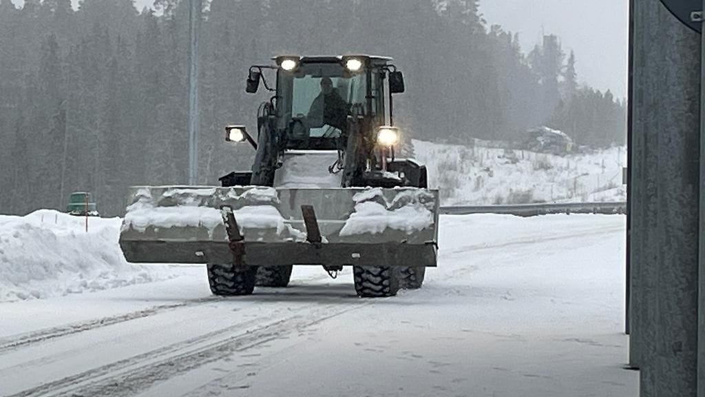 vartius betoniporsas