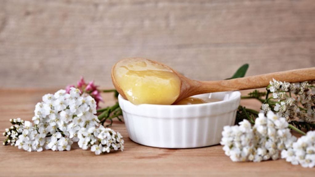 Vanhan yrttikirjan mukaan helpotus moniin kipuihin löytyy luonnosta.