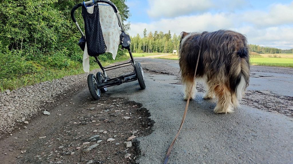 "Tie on vilkkaasti liikennöity ja on kaikkien turvallisuuden kannalta yksiselitteistä, että tie pitää saada kuntoon. Joku jää vielä auton alle, kun auto, jalankulkija tai pyöräilijä väistää äkillisesti kuoppaa”, kertoo voittokuvan lähettänyt Sanna Rantanen huolestuneena.