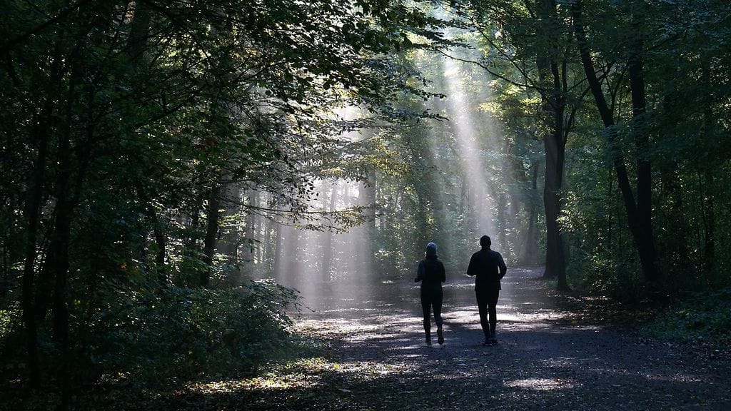 Veli kertoi polkujuoksija Emilia Brangefältin viimeisistä päivistä. Kuvituskuva.