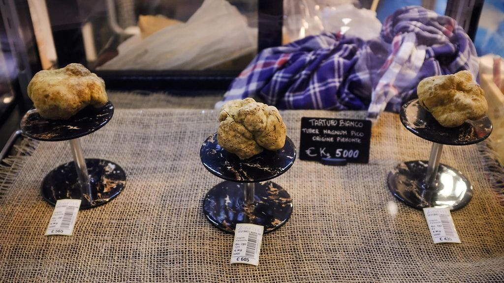 2611 AOP TRYFFELIVALIKOIMA