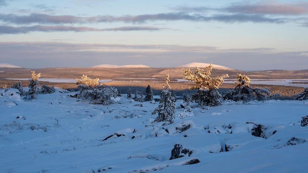 Pallastunturi 2021. Kuvituskuva.