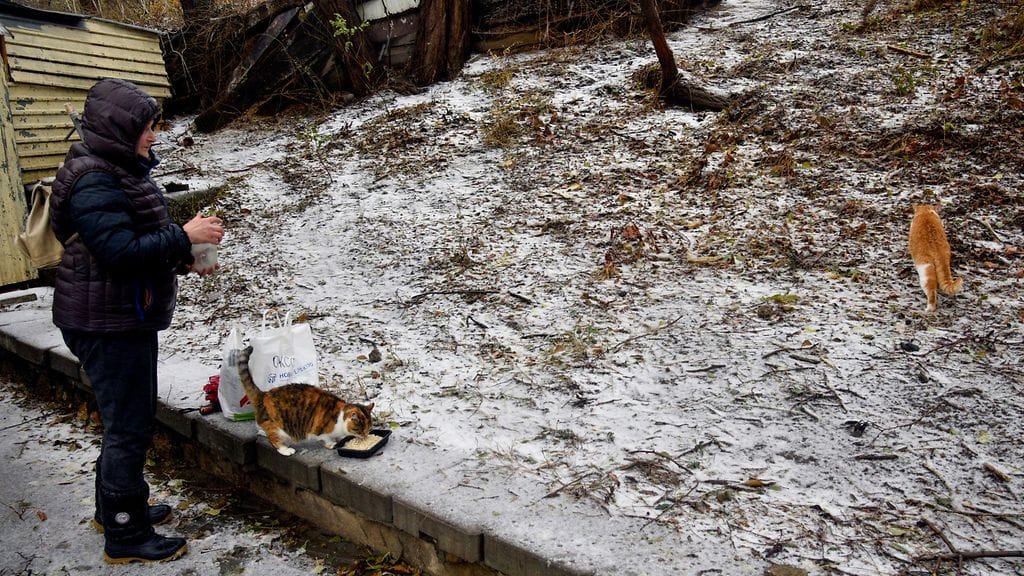 Ukrainalaisministeriön mukaan Odessan alue on kärsinyt pahiten myrskystä.