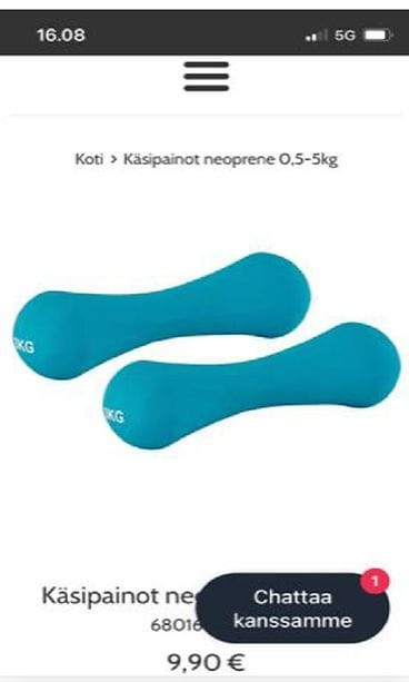 Ullanlinna todiste käsipainot