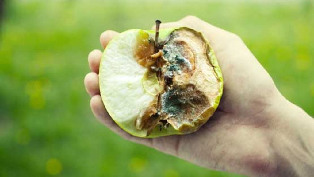 Epäonnisen perheen kohdalle on osunut jo kolme hometaloa.