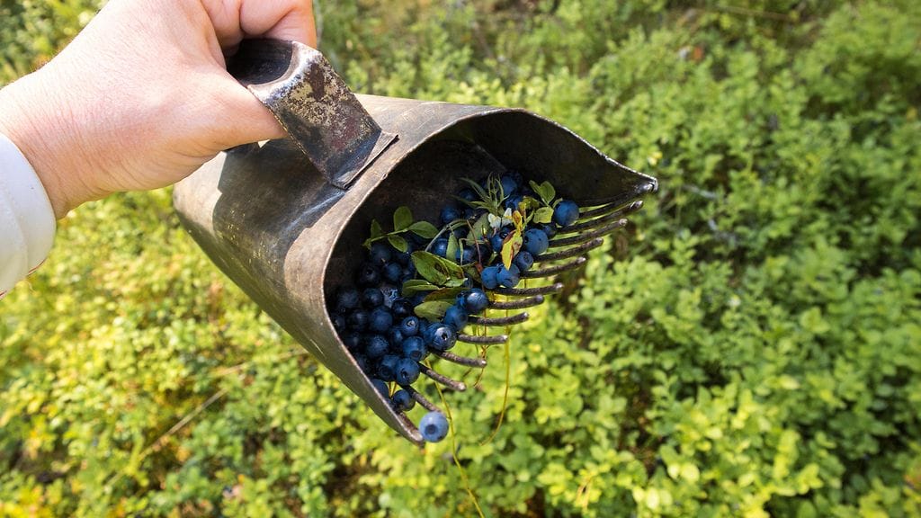 Laaja ihmiskauppaoikeudenkäynti alkoi tänään Lapin käräjäoikeudessa valmisteluistunnolla.