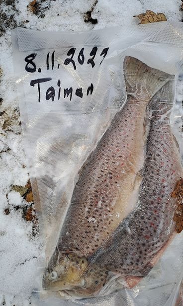 Taimen1 poliisi MTV 041223