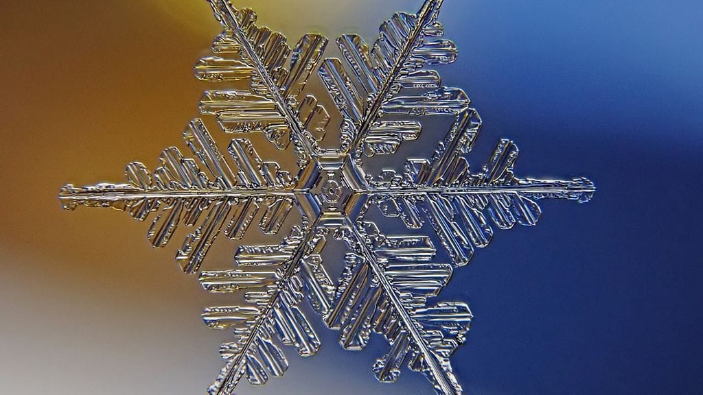 071223_VJ__kredit_Juhani_Harkas_hiutale7