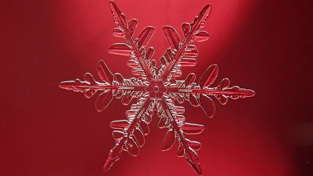 071223_VJ__kredit_Juhani_Harkas_hiutale 3b