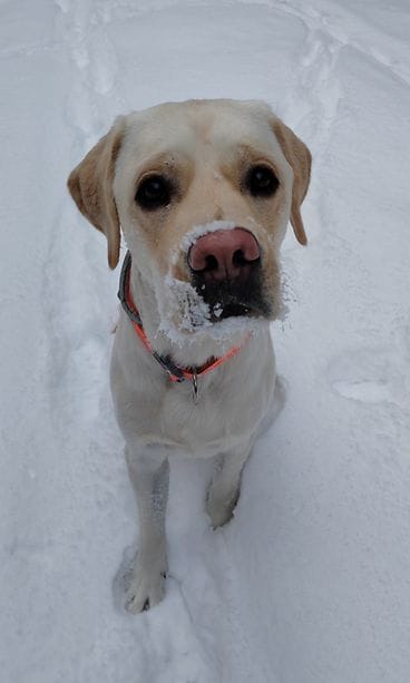 Jussi Tavallisen totinen poika