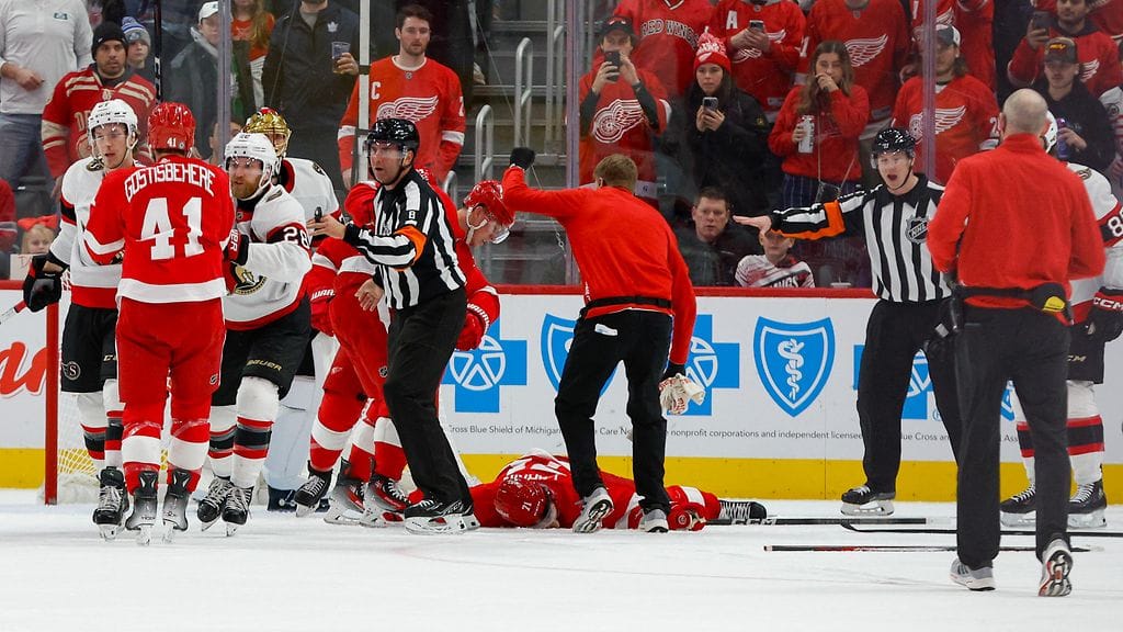 Detroitin ja Ottawan välisessä ottelussa koettiin erikoinen välikohtaus.