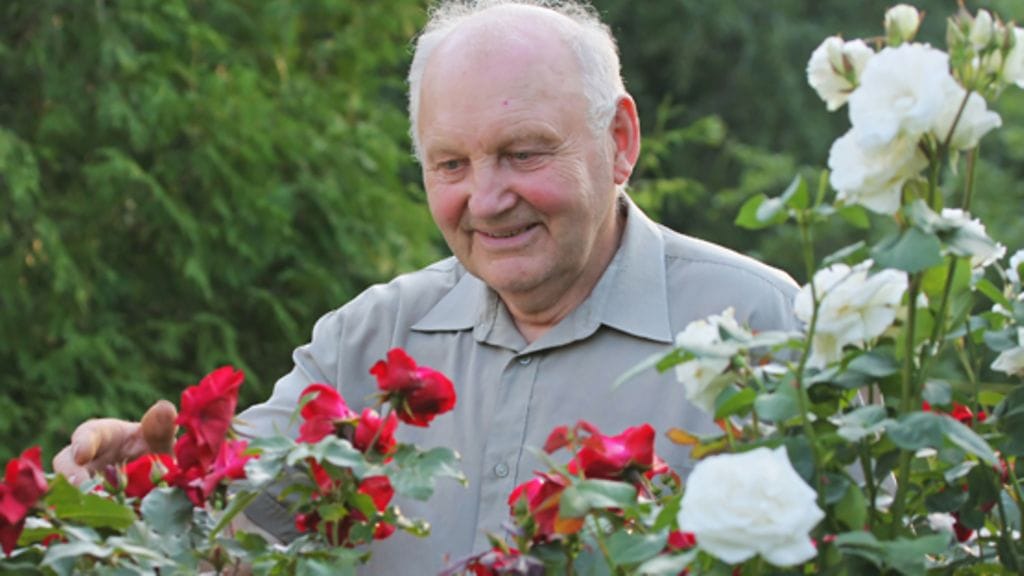 Puutarha piristää kehoa ja mieltä.