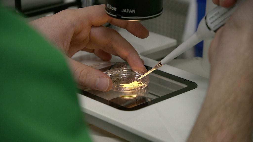 Munasolut Mehiläinen Felicitas laboratorio