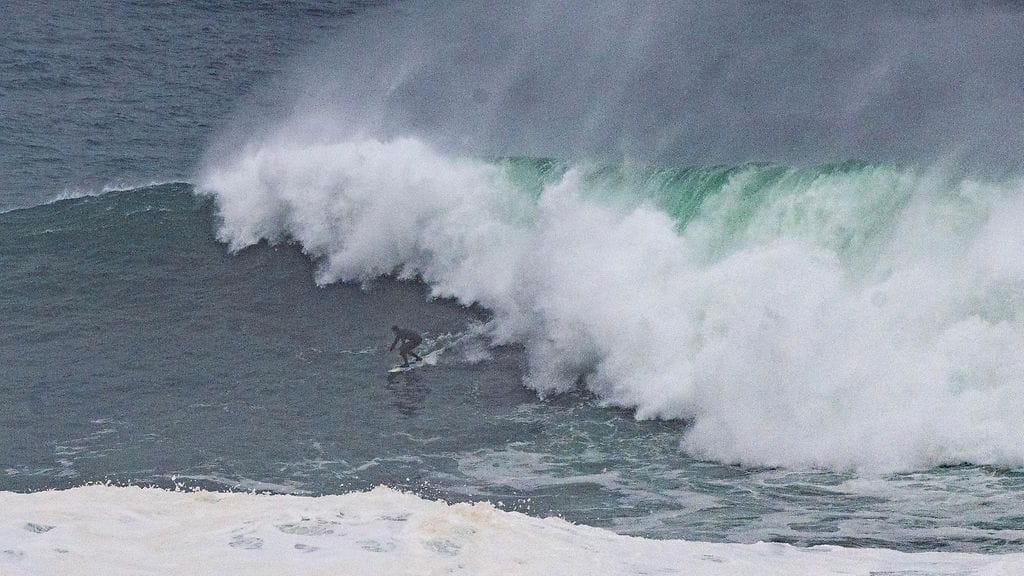 Khai Cowley, 15, kuoli traagisesti hain hyökättyä hänen kimppuunsa. (Kuvituskuva).