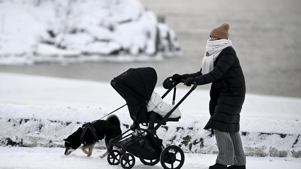 Kovat pakkaset koettelevat myös lemmikkieläimiä. Esimerkiksi eri koirarodut kestävät pakkasta eri tavoin.