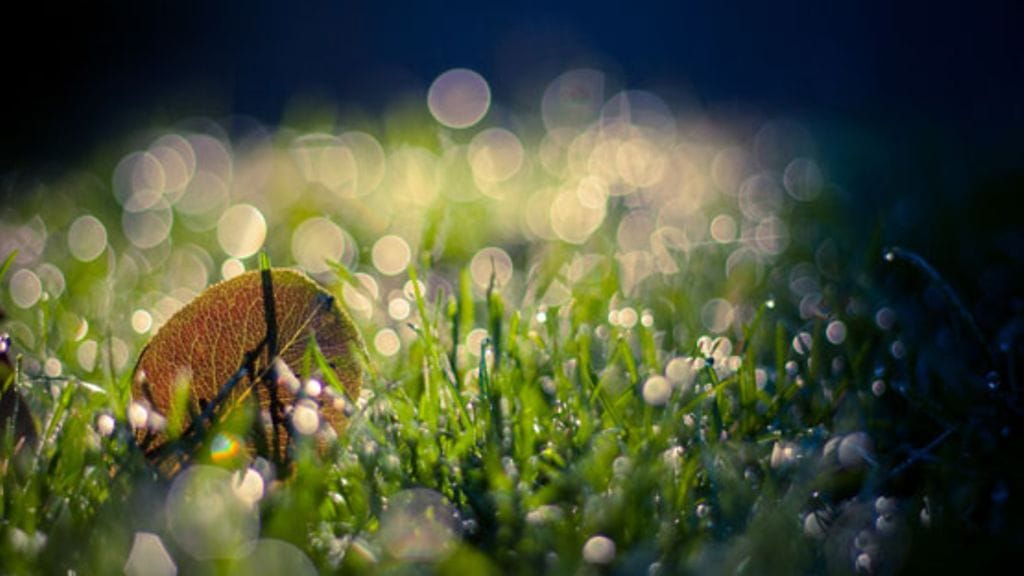 Shamaanilla on oltava yhteys luontoon ja toisiin todellisuuksiin. Kuvituskuva.