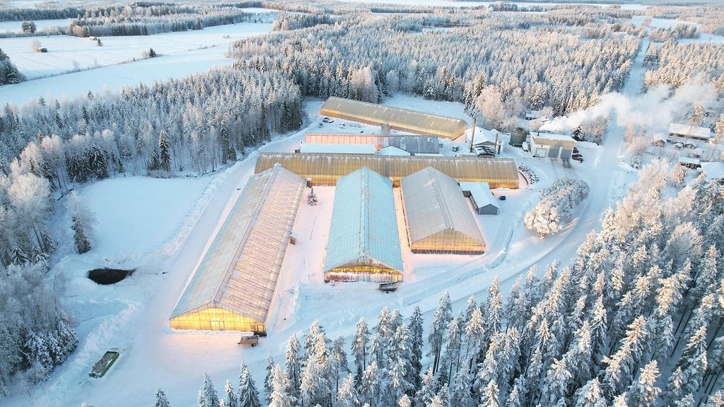 Outin juttu yrittäjä sähkö MTV