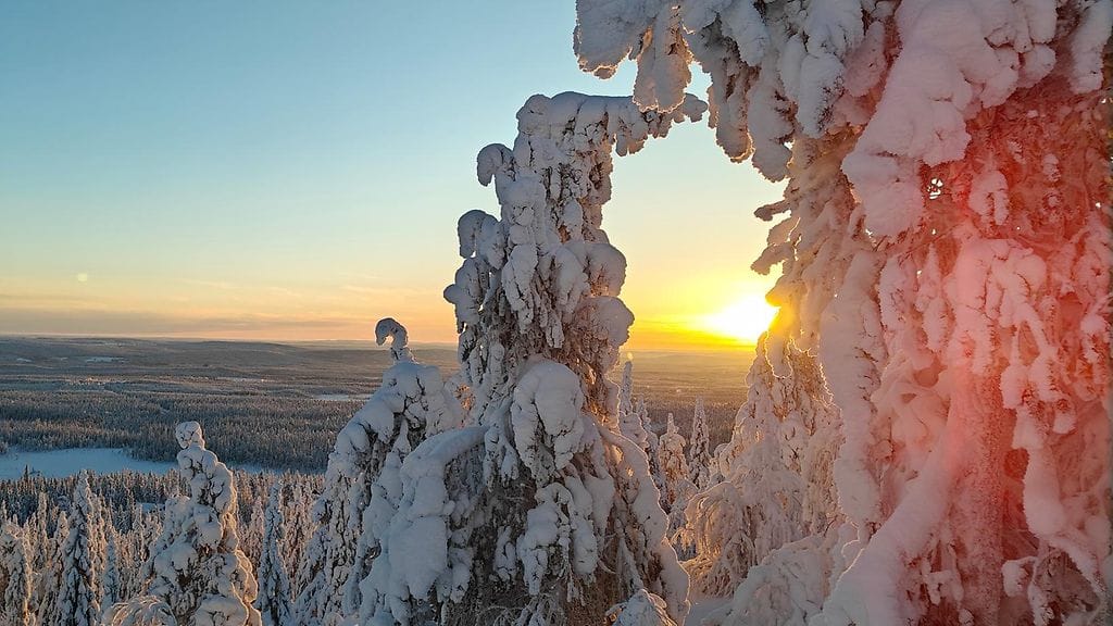 0701202 MTV MIA RUNTTI-MANNINEN