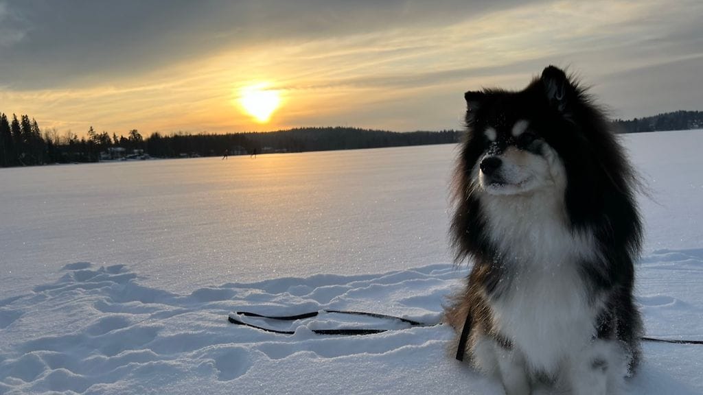 07012024 MTV Heidi Ojalainen