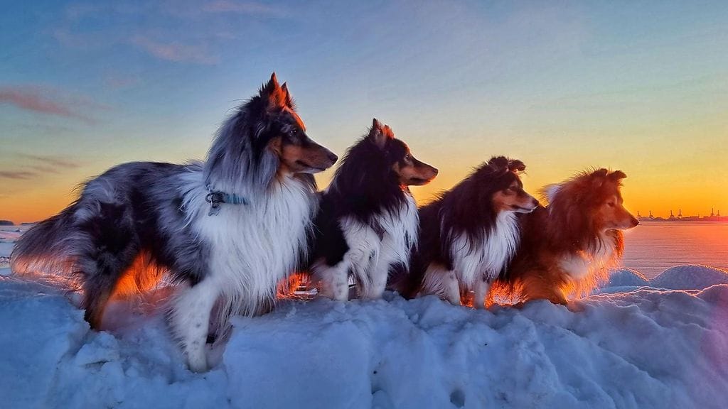 07012024 MTV NOORA VIRTANEN