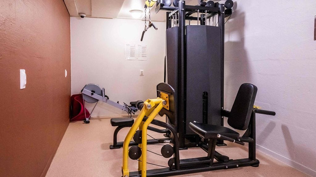 LK0801 Breivik papukaijat