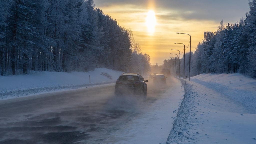 Poliisi huomauttaa myös, että varkaan matkaan saattaa tällaisessa tapauksessa lähteä auton kyydissä ollut lemmikki tai lapsi. Kuvituskuva.