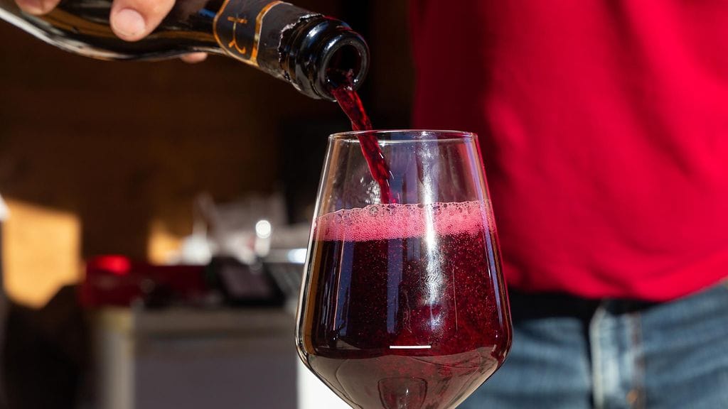 lambrusco, punaviini