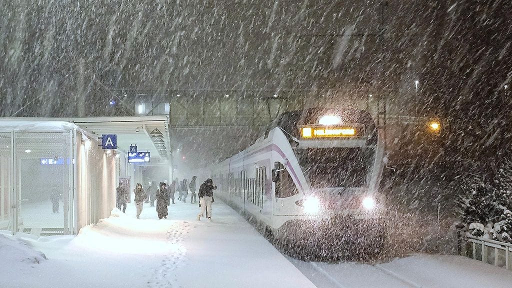 18012024 LUKIJAN KUVA