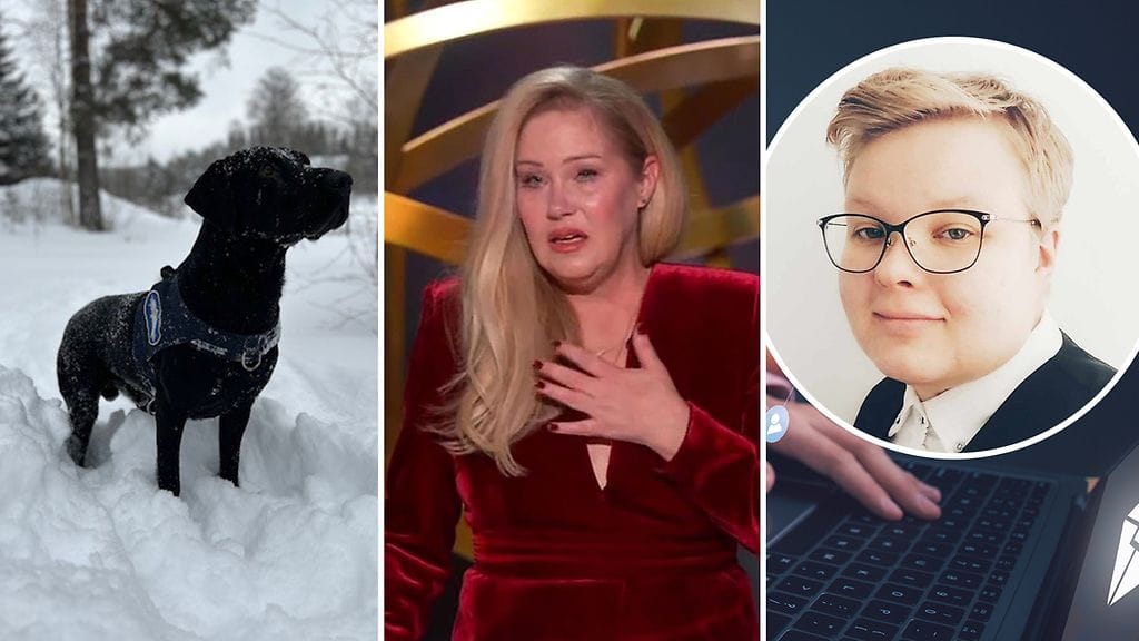 Nalli-koira pisti parastaan, näyttelijä Christina Applegate liikuttui kyyneliin Emmy-gaalassa ja Roosa löysi hauskan lapsuusmuiston. Lue kaikki hyvän mielen uutiset alta!