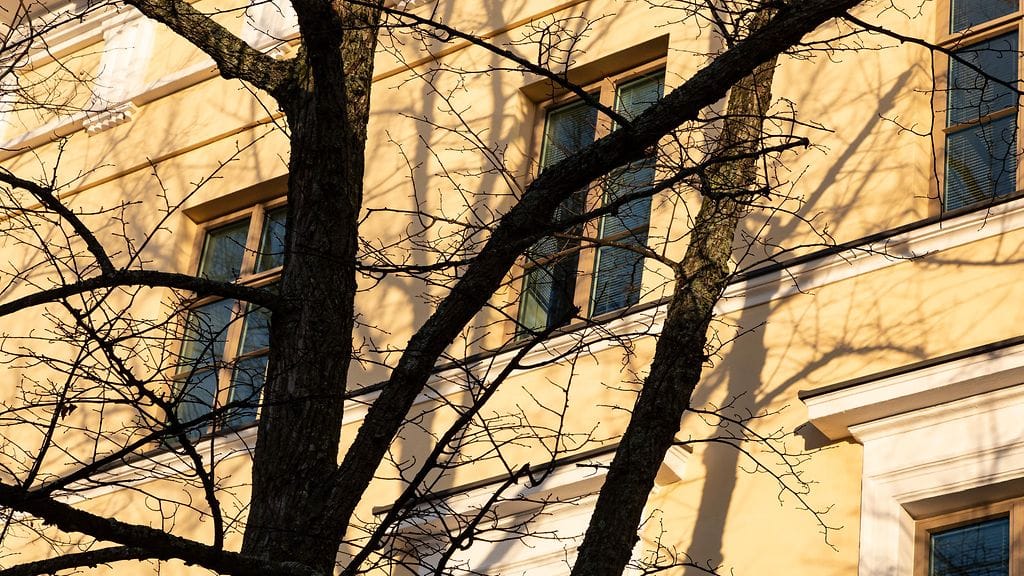 Ulkoministeriön teettämän kyselyn mukaan kehitysyhteistyöhön suhtautuvat myönteisimmin korkeakoulutetut naiset.