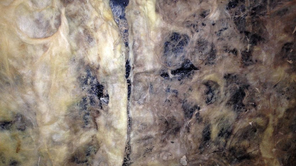 Kiinteistölakimies Group pikisively